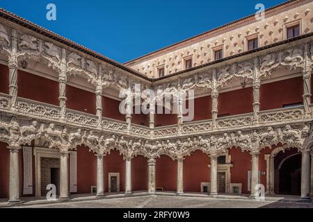 Palast der Herzöge des Infantados im elisabethanischen gotischen Stil mit Renaissance-Elementen in der Stadt Guadalajara, Castilla la Mancha, Spanien. Stockfoto