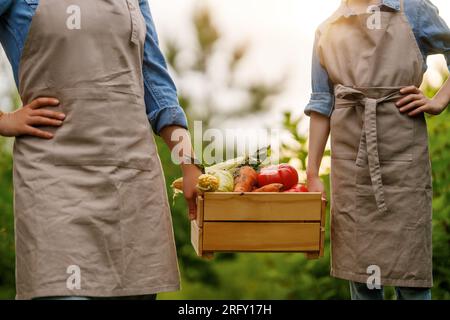 Bauernfamilie, die frisch gepflückte Produkte in einer Kiste auf einem Biobauernhof anbietet. Stockfoto