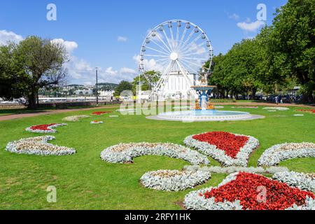 Torquay Devon Big Wheel oder English Riviera Wheel Princess Gardens Torquay Torquay Torquay Devon England GB Europa Stockfoto