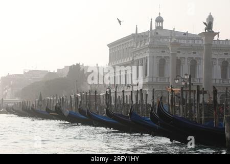 Gondelreihe vor dem Dogenpalast (Palazzo Ducale) in Venedig, Italien an einem trüben Tag, vom Wasser aus gesehen, Bacino di San Marco Stockfoto