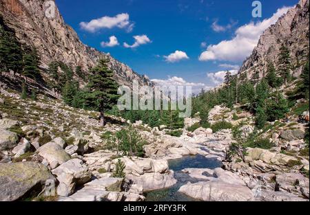 Restonica fließt an der Quelle durch Berg-Tal, Restonica Hochtal, Corte, Haute-Corse, Korsika, Frankreich Stockfoto