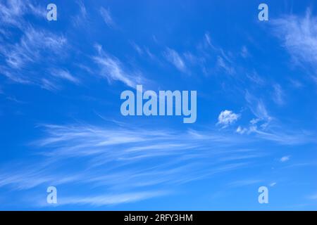 Weiße, lange, weich, dünne Zirruswolken, die gegen den blauen Himmel flüstern Stockfoto