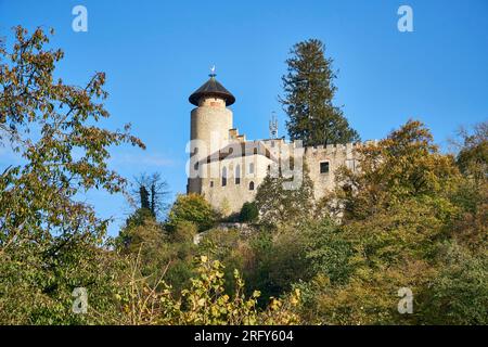 Burg Birseck in Arlesheim, eingerahmt von goldenen Herbstblättern Stockfoto