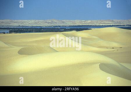 Die Sanddünen in der Nähe der Oase und des Dorfes Siwa in der libyschen oder ägyptischen Esterwüste in Nordafrika. Ägypten, Siwa, März 2000 Stockfoto