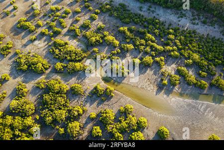 Great Sandy Strait in Australien trennt das Festland Queensland von Fraser Island, von Hervey Bay bis Inskip Point, Tourismus und kommerzielles Angeln, man Stockfoto