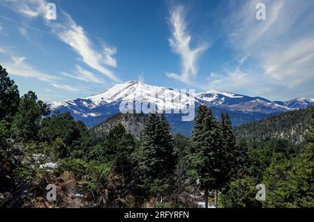 Ein Panoramablick auf den schneebedeckten Gipfel der Sierra Blanca aus der Sicht von Ruidoso, New Mexico, in Lincoln County. Der umliegende Wald steht Stockfoto