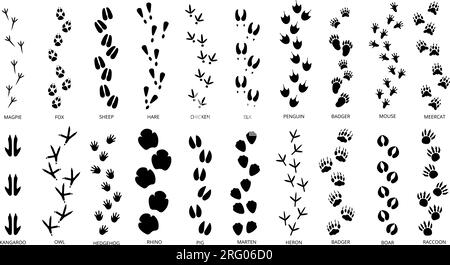 Die Fußabdrücke der Tiere sind schwarze Silhouetten. Fußspuren, isolierte tierische Fußspuren. Haustiere Schritte, andere wilde Figur Fuß Schritt anständige Vektoren Stock Vektor