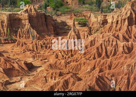 Ungewöhnliche Landschaften in der Tatacoa-Wüste, Kolumbien, Südamerika Stockfoto