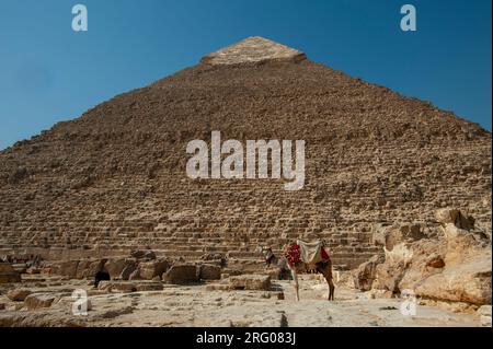 Afrika, Ägypten, Gizeh. Pferde galoppieren mit Blick auf eine der großen Pyramiden von Gizeh. Stockfoto