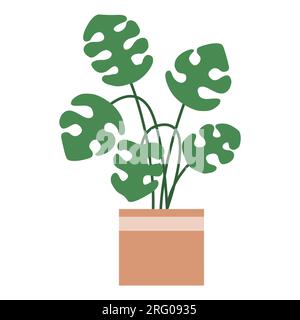 Monstera-Pflanze im Topf, Heim-Innenelement, Vektordarstellung Stock Vektor