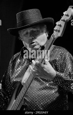 PETER ALBIN SPIELT BASS MIT DEM GROSSEN BRUDER UND DER HOLDINGGESELLSCHAFT - SUMMER OF LOVE FESTIVAL (MONTEREY POP FESTIVAL 2007), KALIFORNIEN Stockfoto