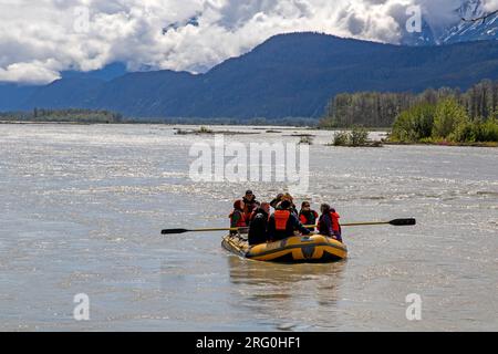 Rafting auf dem Chilkat River, Chilkat bald Eagle Preserve Stockfoto