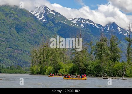 Rafting auf dem Chilkat River, Chilkat bald Eagle Preserve Stockfoto