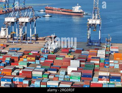 YANTAI, CHINA - 6. AUGUST 2023 - Containerterminal im Hafen Yantai, Provinz Shandong, 6. August 2023. Daten des Verkehrsministeriums zeigen, dass ich Stockfoto