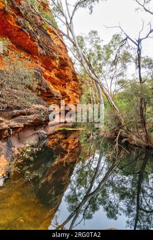 Kings Canyon Waterhole im Garden of Eden mit Blick nach Norden entlang Kings Creek. Watarrka-Nationalpark, Northern Territory, Australien Stockfoto