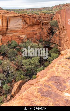 Blick vom Cotterills Lookout in Richtung des nördlichen Arms des Kings Canyon. Am Fuße befinden sich der Kings Creek und der Garten Eden mit der Vegetation, die den Fluss säumt Stockfoto