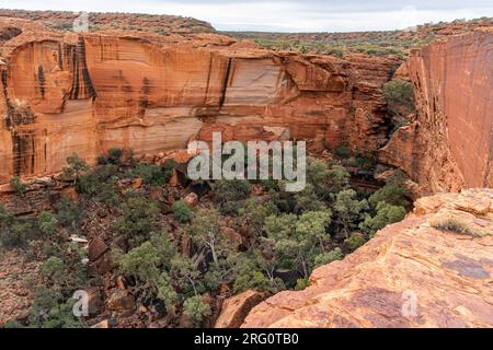 Blick vom Cotterills Lookout in Richtung des nördlichen Arms des Kings Canyon. Am Fuße befinden sich der Kings Creek und der Garten Eden mit der Vegetation, die den Fluss säumt Stockfoto