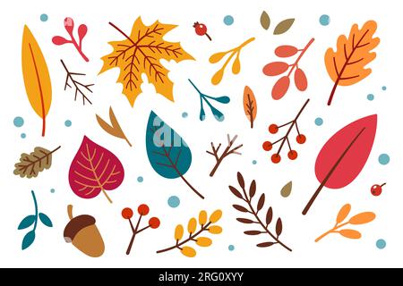 Design-Elemente für den Herbst. Vektorblumen-Illustration. Herbstkollektion. Herbstelemente - Eichel, Apfel, Blätter, Beeren. Flaches Design, Doodle-Style. Stock Vektor