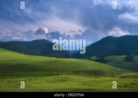 Jurten auf wunderschönen Wiesen auf den Weiden in den Bergen an einem Sommertag, Assy Plateau in Kasachstan Almaty Stockfoto