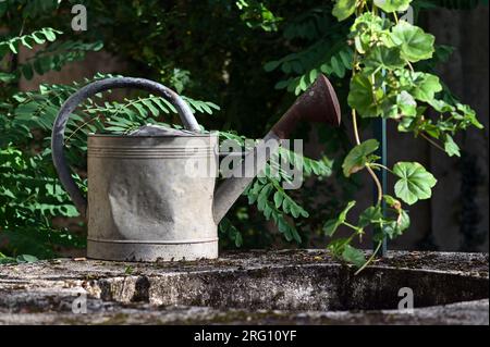 Vintage verwitterte galvanisierte Metall Gießkanne auf einem Brunnen mit üppigem grünem Laub im Hintergrund im Sommer Stockfoto