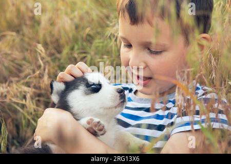 Ein süßer Junge spielt mit einem Hündchen, das auf einer Wiese im Gras sitzt. Stockfoto