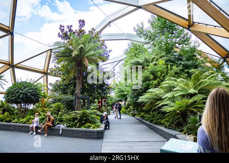 Crossrail, Dachgarten, Canary Wharf, London, Großbritannien Stockfoto