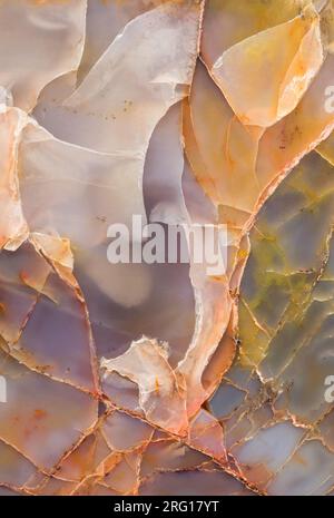 Nahaufnahme der strukturellen Details in einem Stück bunten versteinerten Holzes aus Arizona, Araucarioxylon arizonicum aus der Chinle Formation, dem Staat FO Stockfoto