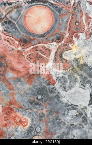 Makrofotografie der Details in Birds Eye Rhyolite, einem Felsen vulkanischen Ursprungs Stockfoto