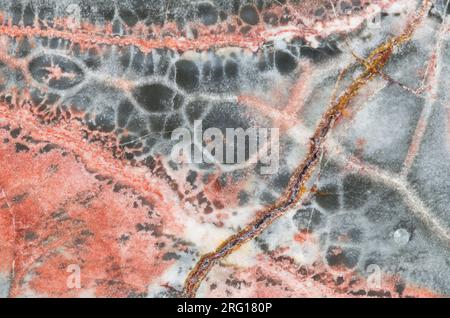 Makrofotografie der Details eines Stücks von Birds Eye Rhyolite, einem Felsen vulkanischen Ursprungs Stockfoto