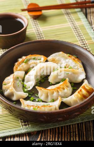 Taiwanesische und japanische in der Pfanne gebratene Gyoza-Teigtaschen Jiaozi-Essen auf dem Teller auf dem Tisch. Vertikal Stockfoto