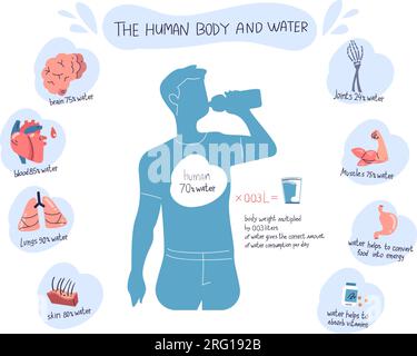 Wasserfunktion im Körper. Flüssigkeitszusammensetzung des Menschen, Trinkvorteile Medizin Infografik Temperatur Regulationen Balance für gesunde Haut Knochen Organ, klassischer Vektor Illustration von Wasser Körper Gesundheit Stock Vektor