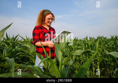 Porträt von Landwirtinnen, die Mais anbauen. Sie untersucht den Fortschritt der Pflanzen. Landwirtschaftliche Tätigkeit. Stockfoto