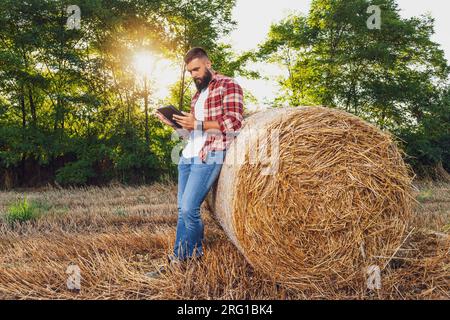 Der Bauer steht neben Heuballen. Er untersucht Stroh nach erfolgreicher Ernte. Stockfoto