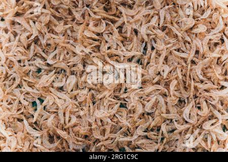 Jede Menge trockene Garnelen im Hintergrund zum Verkauf. Nahaufnahmen mit Pfahlstruktur in leuchtend hellrosa, blassen Farbtönen Stockfoto