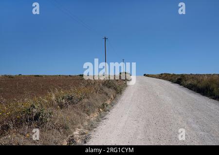 Leere Straße mit einer Stromleitung und einigen Polen daneben in einem ländlichen Gebiet in Portugal Stockfoto