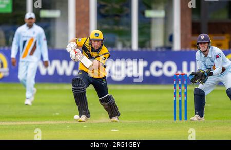 Colin Ingram schlägt für Glamorgan in einem eintägigen Pokalspiel gegen Derbyshire Stockfoto