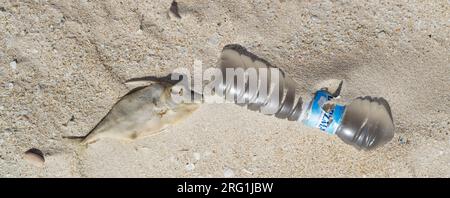 Kunststoffabfälle auf Oman Strand von Al Wusta Governatorats. Stockfoto