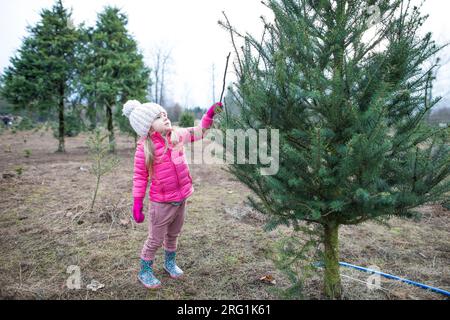 Ein junges Mädchen in Pink wählt den Familienweihnachtsbaum Stockfoto