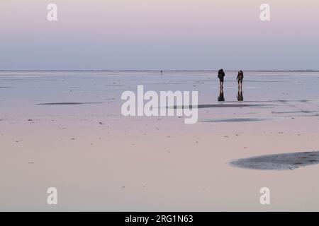 Touristen wandern im Wattenmeer, Deutschland, bei Ebbe Stockfoto