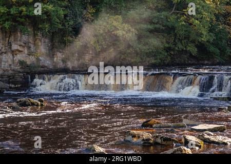 Richmond Falls am Fluss Swale in Swaledale. Richmond, North Yorkshire, England, Großbritannien, Großbritannien Stockfoto