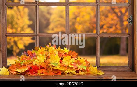 Altes Holzfenster und Blick auf den Innenhof mit gelb fallenden Blättern Stockfoto