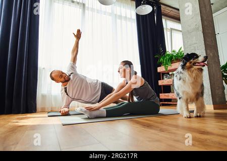 Fröhliches Paar in Sportbekleidung Training auf Fitnessmatten in der Nähe von Border Collie Dog zu Hause Stockfoto