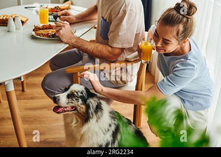 Lächelnde Frau mit Orangensaft und streichelnder Border Collie, während ihr Freund zu Hause frühstückt Stockfoto