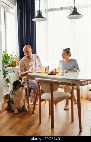 Positiver Mann streichelte Border Collie Dog, während er mit seiner Freundin zu Hause in Haushaltskleidung frühstückte Stockfoto
