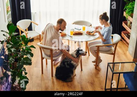 Blick aus einem hohen Winkel auf einen lächelnden Mann, der Border Collie streichelt, während er mit seiner Freundin zu Hause frühstückt Stockfoto