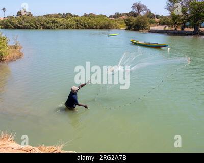 Typische Landschaft in Gambia. Ein einsamer Fischer, der im Fluss angeln und ein Fischernetz auswerfen will. Stockfoto