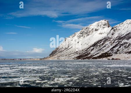 Schneebedeckte Berge und Eispickeln in der Bucht von Knutstad. Knutstad, Lofoten Islands, Nordland, Norwegen. Stockfoto