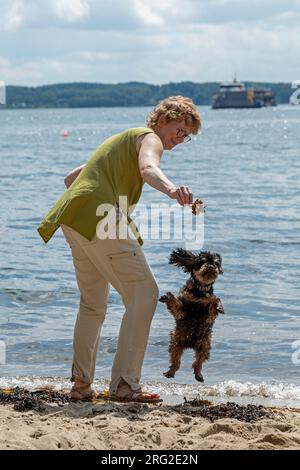 Frau spielt mit Hund, Strand, Friedrichsort, Kieler Förde, Kiel, Schleswig-Holstein, Deutschland Stockfoto