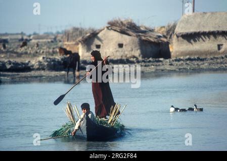 Marsh Arabs Iraq 1980er. Mutter und Sohn, Kind im Kanu, das kürzlich geschnittenes Schilf transportiert. Lehmhäuser, die an den Ufern der Flüsse Tigris und Euphrates Feuchtgebiete und der Sumpflandschaft von Hammar angebaut werden. Südirak 1980er HOMER SYKES Stockfoto