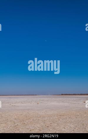 Riesige Salzpfannen unter einem intensiv blauen Himmel. Kudiakam Pan, Nxai Pan National Park, Botswana. Stockfoto